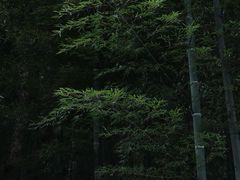 -黄公望隐居地