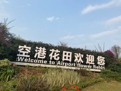 -空港花田景区