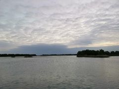 -贡湖湾湿地公园