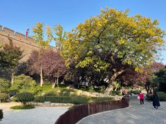 -西安城墙·碑林历史文化景区