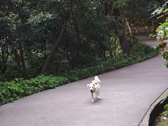 -紫金山山顶公园