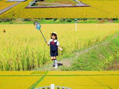 -艾米稻香小镇