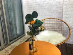 -汐月Health纤体spa中心