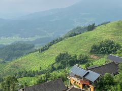 -紫鹊界梯田景区