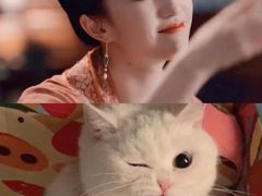 -TSK齿科德申会口腔门诊·联洋诊所