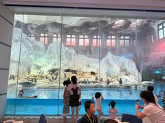 -帝企鹅自助餐厅•儿童岛•真企鹅(长隆企鹅酒店)