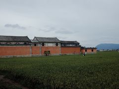 -啊马英豌豆粉