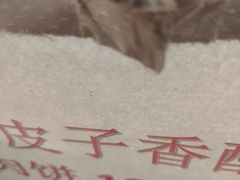 -丝路传奇·中国拉面航母店(北医三院店)