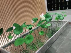 -圣梦亲体美肤生活馆