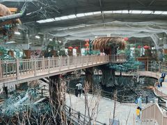 -南宫五洲植物乐园