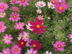 -三亚南山文化旅游区