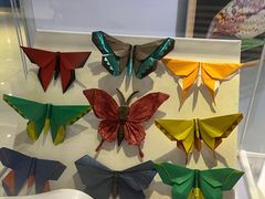 -上海昆虫博物馆