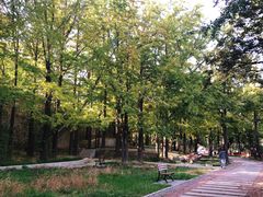 -阳台山自然风景区