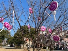 -歌斐颂巧克力小镇