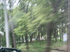 -马陆小张葡萄园农家乐