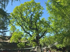 -潭柘寺景区