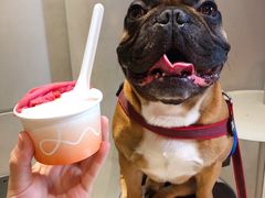 -Dip in Gelato(富民路店)