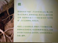 -中国湿地博物馆