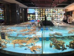 -渔傅·霞浦滩涂海鲜(建平店)