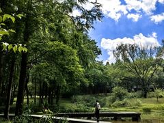 -杭州植物园