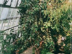 -北京植物园-展览温室
