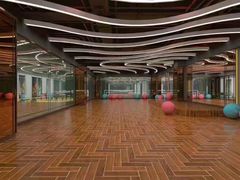 -金吉鸟健身游泳