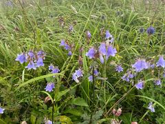 -白草畔自然风景区