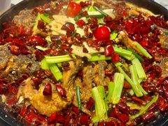 -老板恋上鱼(高新万达店)