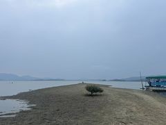 -盐洲岛
