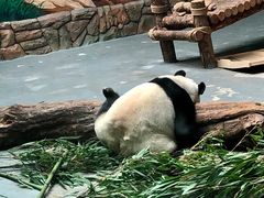 -青藏高原野生动物园