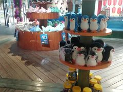 -海合安成都极地海洋公园