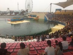 -秦皇岛乐岛海洋王国