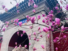 -红螺寺