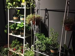 -Primo·丽莫意大利窑烤披萨