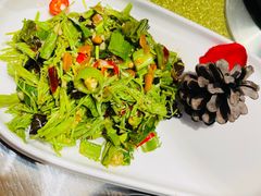 清爽云南沙松针-雀舞云南菜(乐客城店)