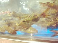 -盒马鲜生(财富中心店)