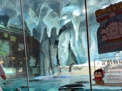 -帝企鹅自助餐厅•儿童岛•真企鹅(长隆企鹅酒店)