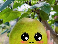 -树山生态村
