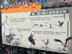 -广州长隆飞鸟乐园