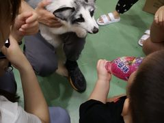 -藦茜花园宠物主题亲子互动体验馆(国顺东路店)