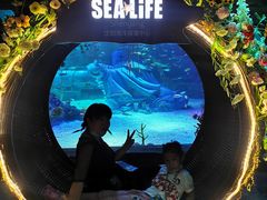 -沈阳海洋探索中心