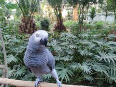 -南宫五洲植物乐园