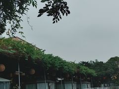 -陶缘一号·四季缘·老字号顺德菜·户外婚礼家宴(西滘店)