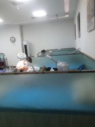 -悟空祛痘·亚健康皮肤管理中心