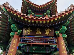 -白洋淀景区