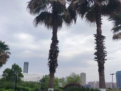 -金沙湖公园