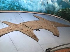 景点-自贡恐龙博物馆