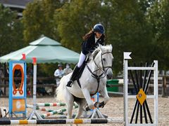 -松声马术俱乐部