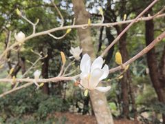 -福清灵石山国家森林公园