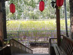 -山乡农家院(海淀区西北旺店)